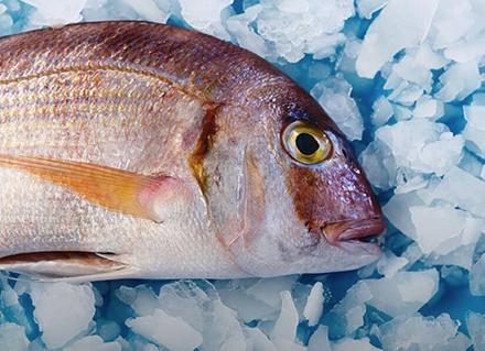 Pagproseso at Pagpapanatili ng Seafood