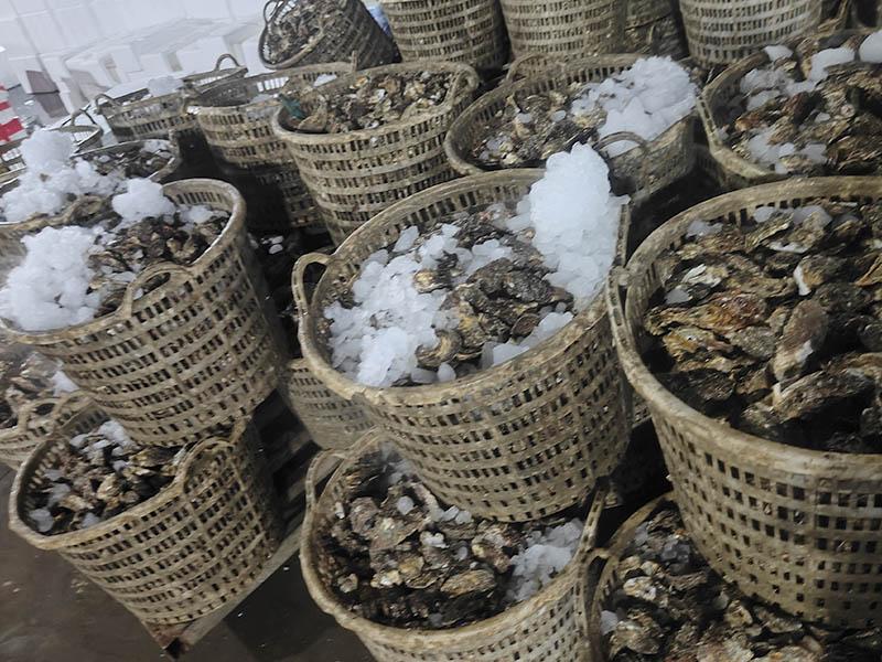 ice manufacturing plant #