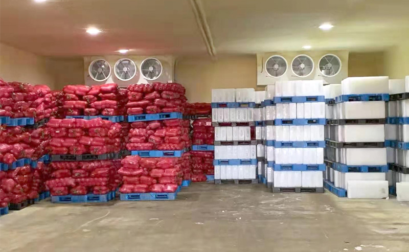 Customer Case ice factory plant cost