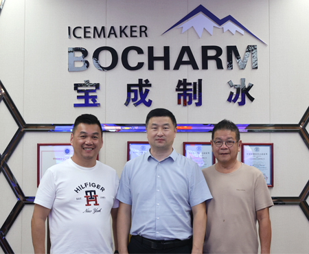 Dalawang 10 Tons Daily Ice Block Machine sa Malaysia