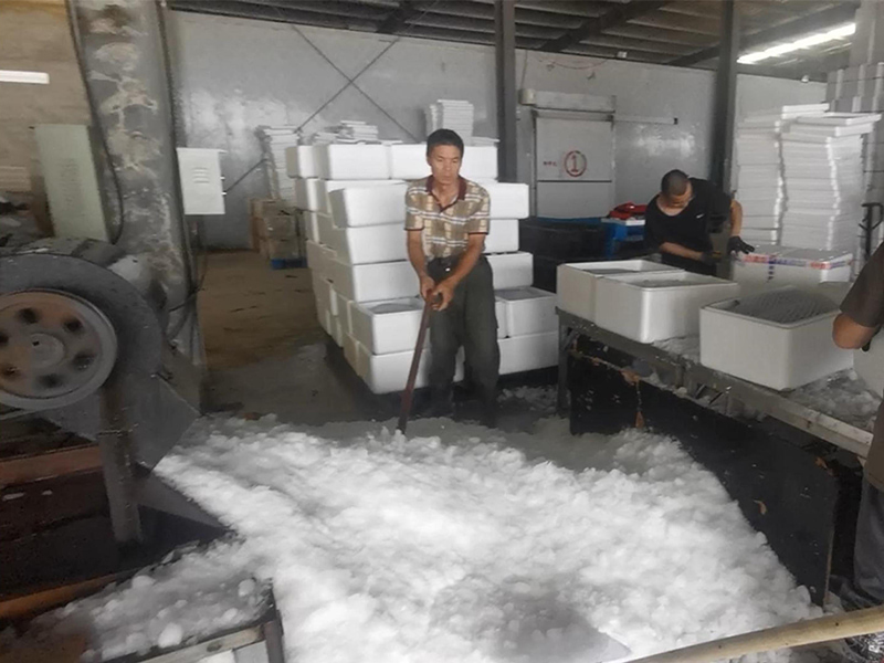 I-maximize ang Efficiency at Panatilihin ang Freshness Ang Power ng Block Ice Maker at Crushers sa Aquatic