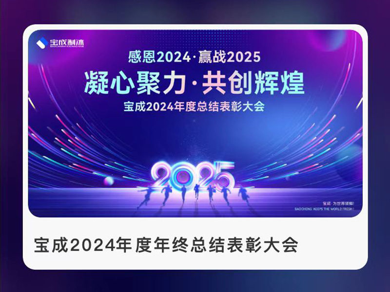 BAOCHARM Ice Machine: 2024 Summary and Recognition Celebration