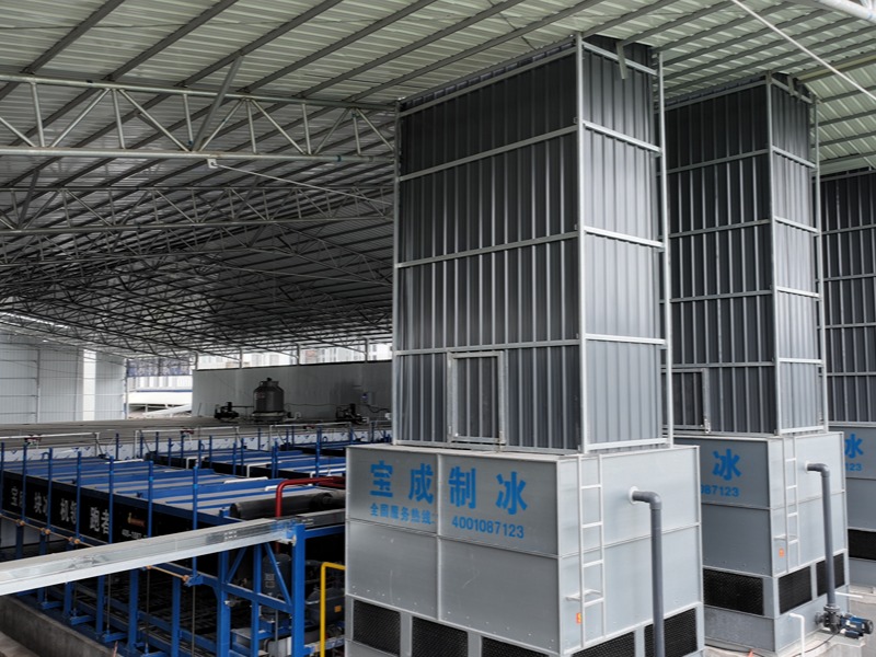 Bakit Pinangunahan ng BAOCHARM ang Block Ice Machine Industry: Ang Walang Kapantay na Kapangyarihan ng Malaking Karanasan sa Proyekto - 160 Tons Block Ice Factory