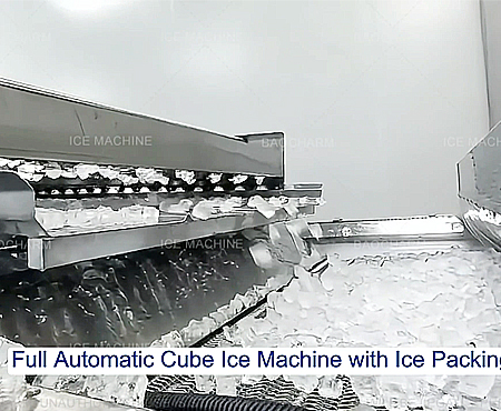 Ganap na Awtomatikong Makina sa Paggawa ng Ice Cube na may Linya ng Pag-iimpake ng Yelo