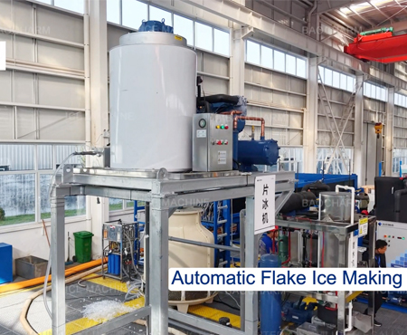 Pasadyang Pang-araw-araw na Kapasidad ng Produksyon ng Flake Ice Machine